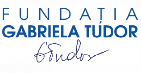 Bursele Gabriela Tudor - editia 2013